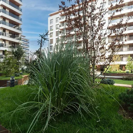Stylish 1br With Balcony In Vibrant Business Area Daire *