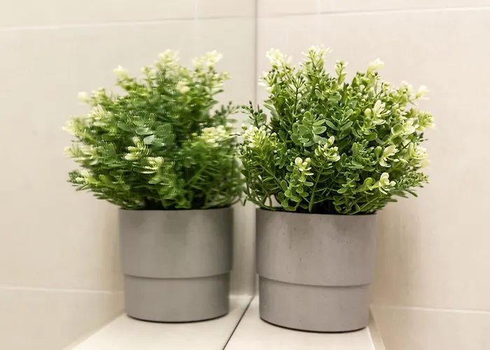 Stylish 1br With Balcony In Vibrant Business Area *